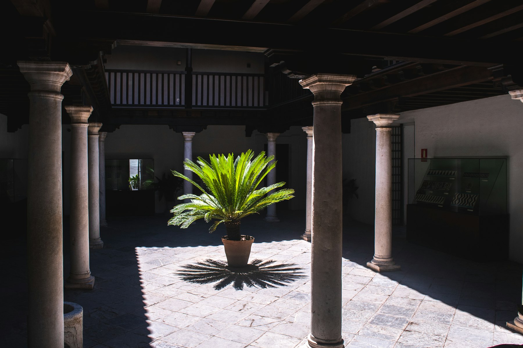 Patio de columnas de piedra con una palmera, en sombra
